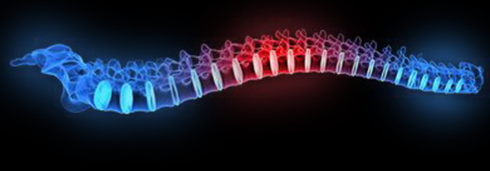 X-Rays in Macomb MI X-Rays in Macomb MI